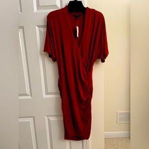 Banana Republic Side Rouched Short Sleeve Ruby Dress